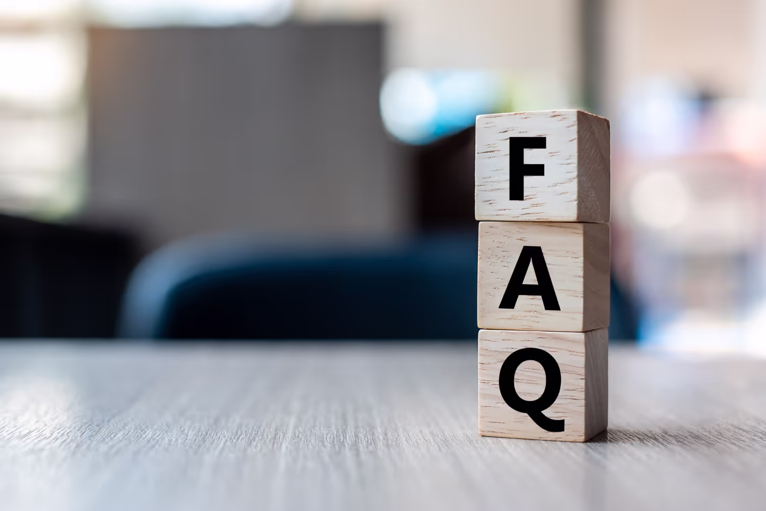 Frequently Asked Questions About Mold