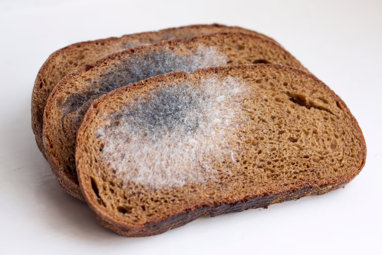 Will Mold on Bread Hurt You?